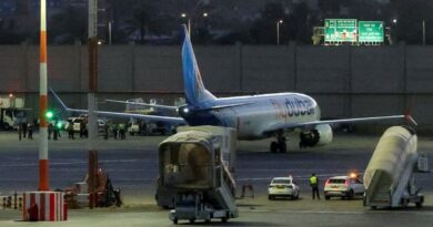 Netanyahu hails stabbed Indian pilot of flydubai plane