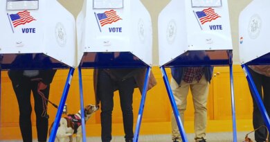 New from top data scientist's (non-AI) Senate model: Despite uptick in Maine and Alaska, Republicans stand just one chance in six of keeping control | Fortune