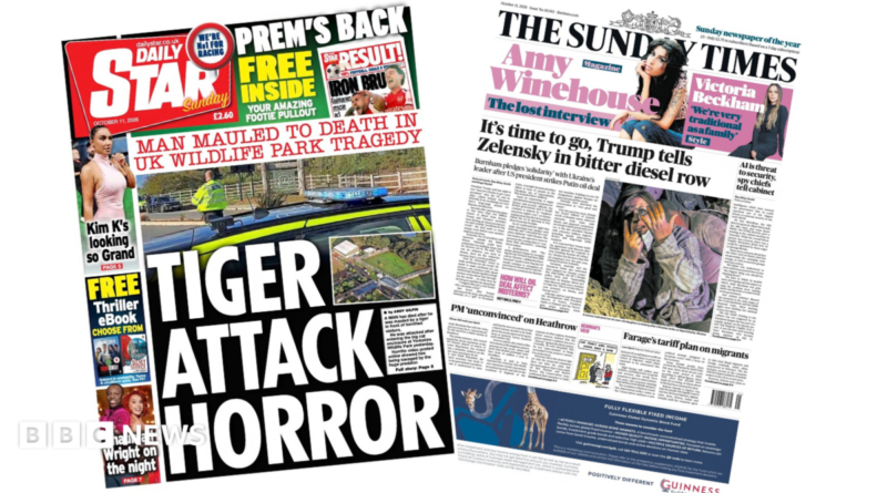 The headline on the front page of the Daily Star reads: “Tiger attack horror”.