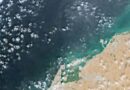 Oil spill off UAE widens, satellite images show, prompting more beach closures