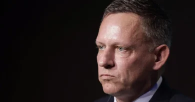 Peter Thiel breaks with Trump over Iran war: 'We should not have done it'