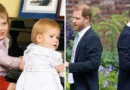 Photos show how Prince Harry and Prince William's relationship has changed through the years