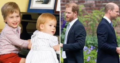 Photos show how Prince Harry and Prince William's relationship has changed through the years