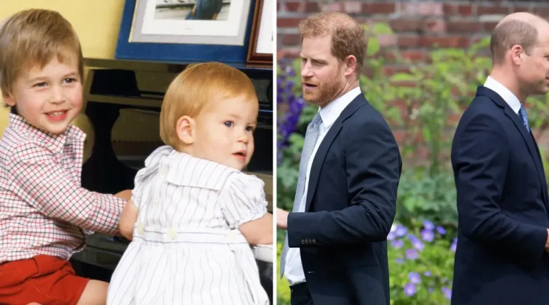 Photos show how Prince Harry and Prince William's relationship has changed through the years