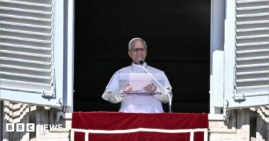 Pope Leo XIV delivering the Sunday Angelus prayer from the balcony of his residence overlooking St Peter's Square. He's in the traditional white cassock, mozzetta cape and zucchetto silk hat over his head.