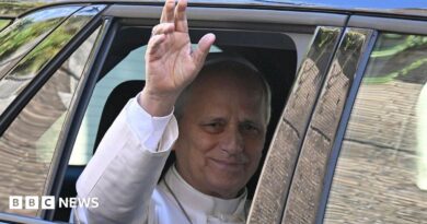Pope Leo XIV waves from the window of a car as he leaves the Vatican before being admitted to Rome's Gemelli University Hospital for an operation to remove a lump from his lung.