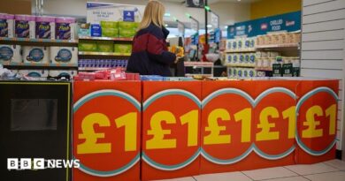 A woman in a Poundland store