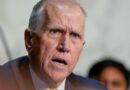Prominent Republican senator says Trump's Russian diesel deal may be illegal