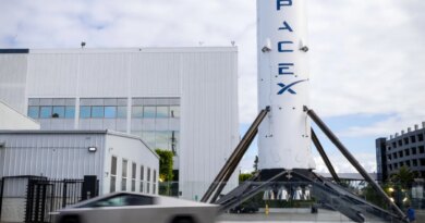 SpaceX and Tesla boards form special committees to review merger | TechCrunch