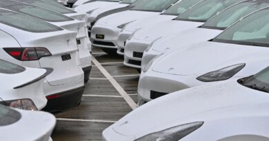 New Model Y electric vehicles are parked in the early morning in a parking lot at Terminal 5 of the capital's Berlin-Brandenburg Airport.