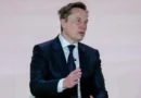 The neocloud stock rout continues as Elon Musk warns of 'guppy-level death'