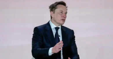 The neocloud stock rout continues as Elon Musk warns of 'guppy-level death'