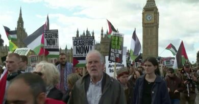 Thousands join pro-Palestinian marches in several European cities
