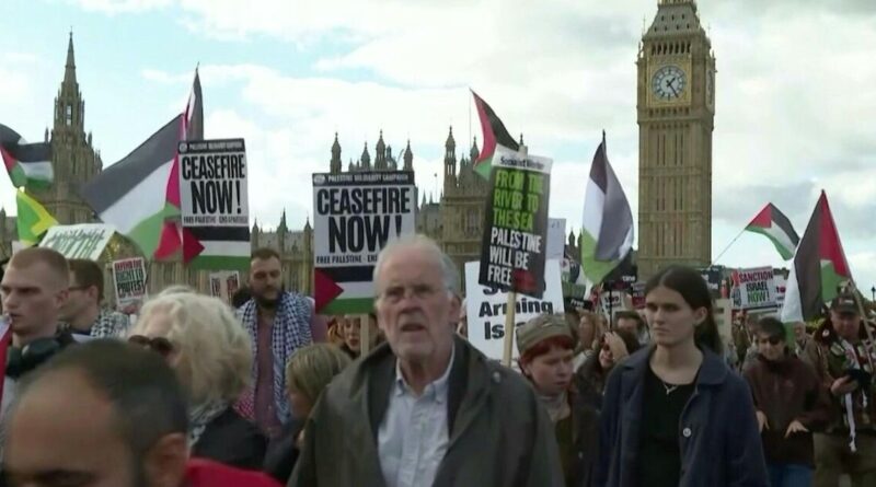 Thousands join pro-Palestinian marches in several European cities