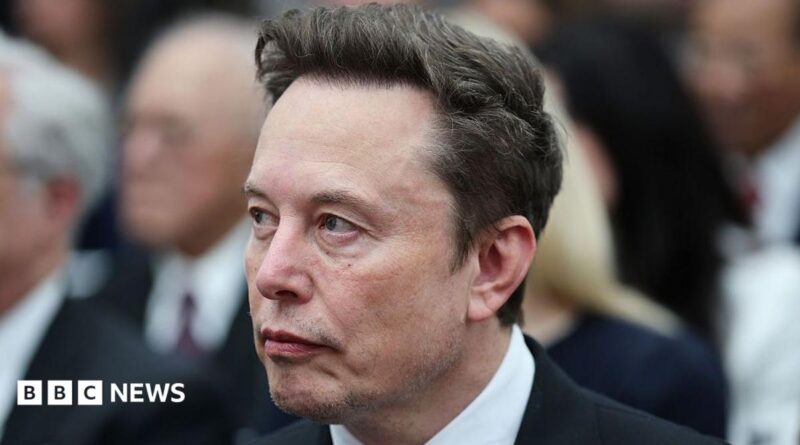 Elon Musk