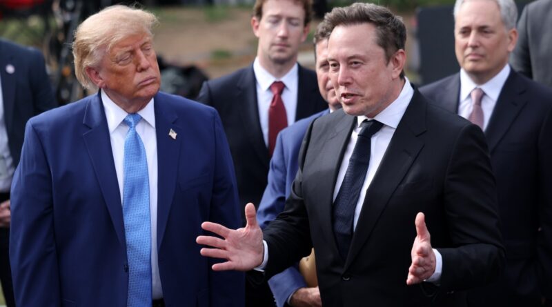 Donald Trump and Elon Musk