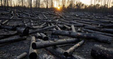 Top global climate science body suspends meeting without deal on major review timeline