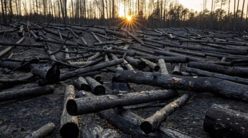 Top global climate science body suspends meeting without deal on major review timeline