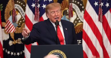 Trump agrees deal with Putin for Russia to release diesel on to global market