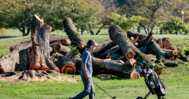 Trump to close historic DC golf course for 15 months of renovations, citing 'disease infested trees,' despite judge's order to halt development plans | Fortune