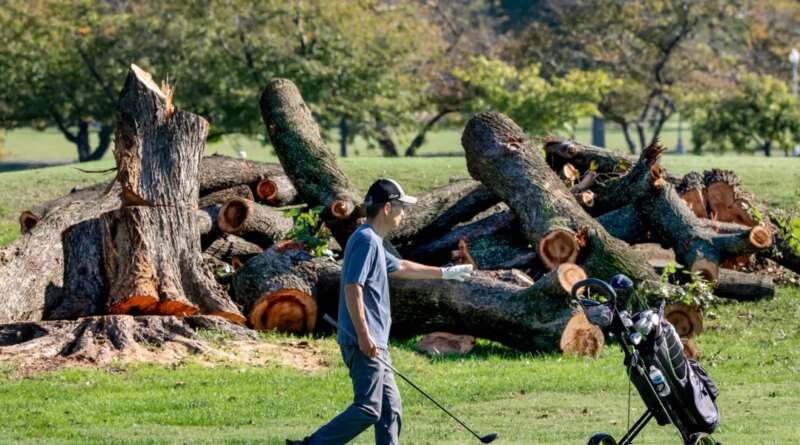 Trump to close historic DC golf course for 15 months of renovations, citing 'disease infested trees,' despite judge's order to halt development plans | Fortune