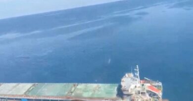 Two dead, 11 rescued after fire onboard ship in Black Sea, Romania says