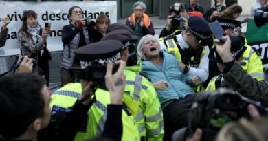 UK police arrest Palestine Action supporters ahead of Supreme Court hearing