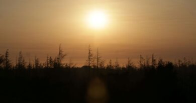 UN climate panel head wants swift end to deadlock over key scientific report