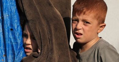 UN inquiry says Israel kept committing genocide in Gaza after truce