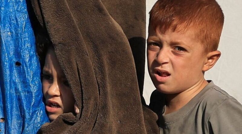 UN inquiry says Israel kept committing genocide in Gaza after truce