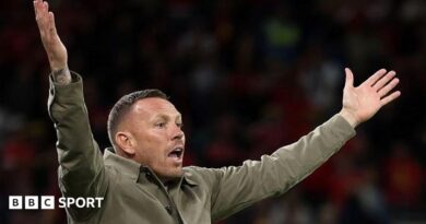 Craig Bellamy throws his hands in the air during Wales' defeat to Denmark