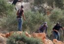 West Bank settlers attack Palestinians, Western diplomats, Belgium says