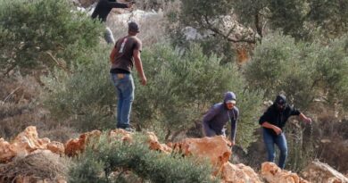West Bank settlers attack Palestinians, Western diplomats, Belgium says