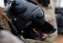 What is Warhound, Palmer Luckey's war dog startup that just emerged from stealth?