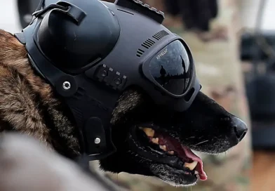 What is Warhound, Palmer Luckey's war dog startup that just emerged from stealth?