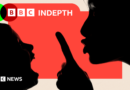 BBC InDepth