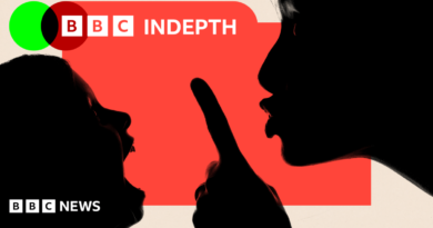 BBC InDepth