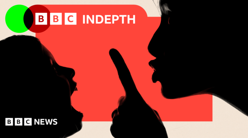 BBC InDepth