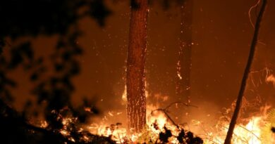 World falling 'dangerously short' on climate action: UN chief
