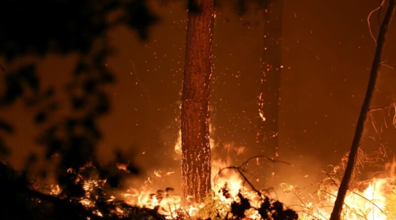 World falling 'dangerously short' on climate action: UN chief