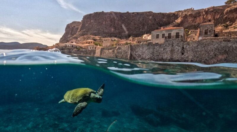 World leaders urged to 'course correct' as UN nature goals fall short